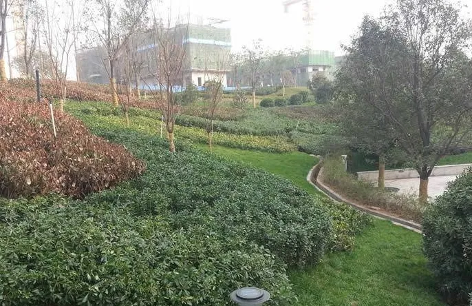 中海东城半岛小区图片6