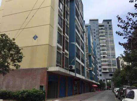 顺鸿一品尚城-临桂区临桂金水路186号