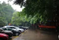 跃层！！高档社区，景观好房，不可多得，稍纵即逝！5