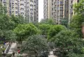 中国铁建国际城小区图片4