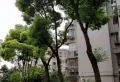 学府花苑小区图片10