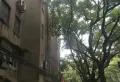 何坊西路 建材 大市场6