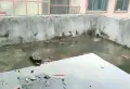 精装中心，纯沿街商铺，即买即租!2