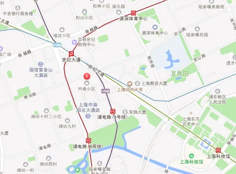 潍坊路192号-浦东新区潍坊潍坊路192号