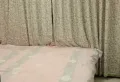 伟业公园路--精装修，拎包入住7