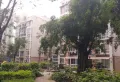 北欧森林小区图片5