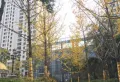 群贤道九号小区图片3