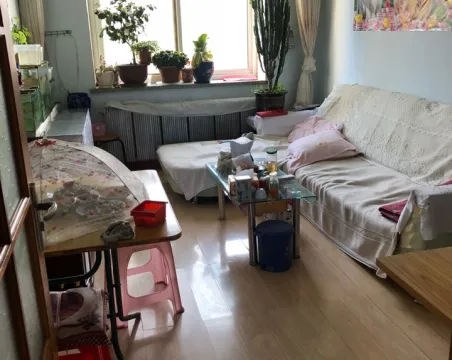 二建公司3室1厅1卫朝南普通