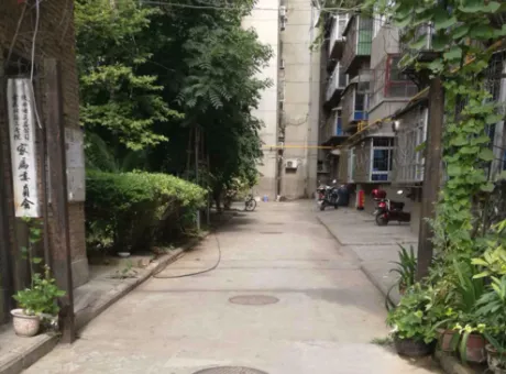 金花小区-新城区金花路金花南路十字东北角