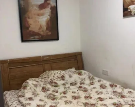 经典天成3室2厅2卫朝南北豪装