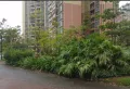 前山新城小区图片4