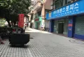 金迪城市花园小区图片10