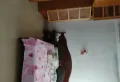 东门新村，独门独户，车子能开到门口10