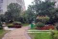 博泰生命树小区图片2