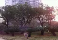 博泰江滨小区图片10