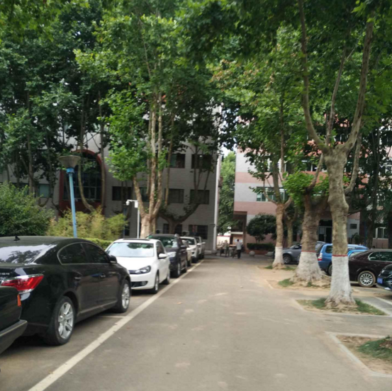 政法大学家属院小区图片