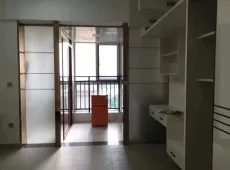 宁乡县|五街国际1室1厅1卫出售