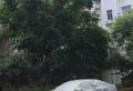 花都花城苑小区图片4