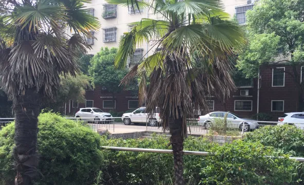 荣昌花园小区图片5