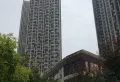 绿地新都会小区图片10