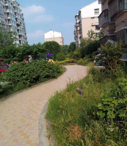 复兴园小区图片5