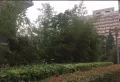 君悦城市花园小区图片7