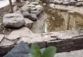 东方现代城小区图片6