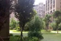 优品城邦小区图片10