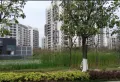 华发又一城小区图片6