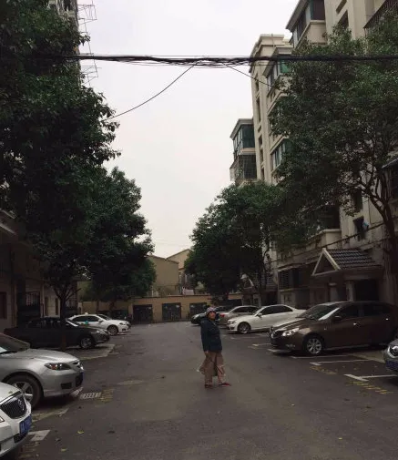 阅江花苑小区图片7