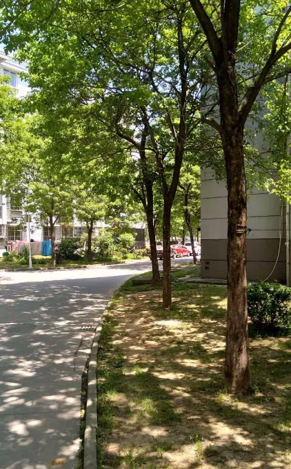 鼎泰家园小区图片3