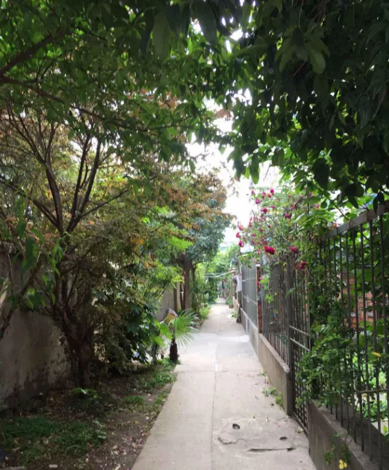 东柏果园小区图片4