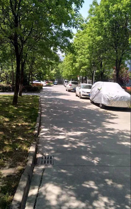 鼎泰家园小区图片4