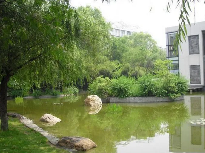 月安花园歌月居小区图片7