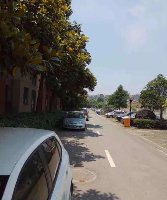 东郊小镇第二街区小区图片7