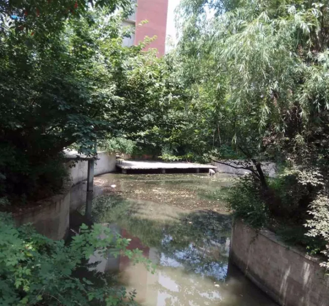 东郊小镇第二街区小区图片3