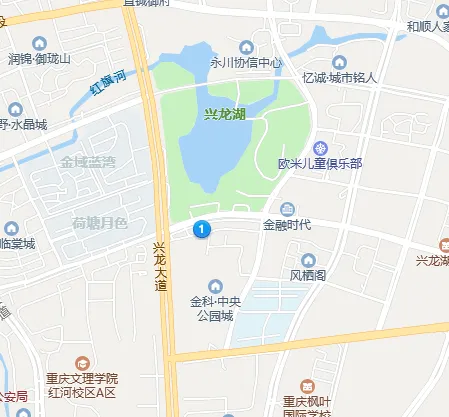 金科中央金街-永川市永川兴龙大道