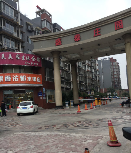 盛泰庄园小区图片