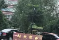 拓然家苑小区图片9