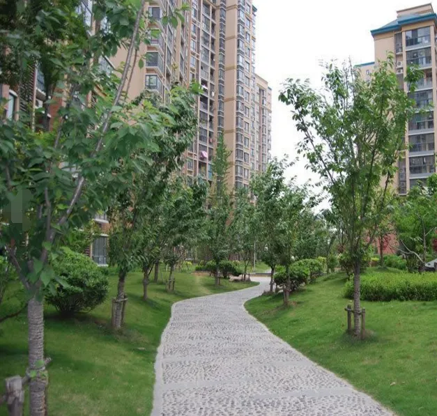 上城国际小区图片8