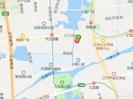 中锐星湖名邸-江宁区百家湖天元西路51号