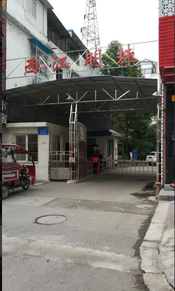 西江明珠-崇州其他文井街323号