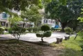 涛景花园小区图片8