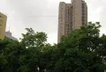 新光御景山小区图片5