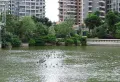 旭日华庭小区图片9