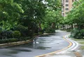 旭日华庭小区图片8