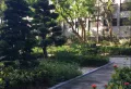 景山一号小区图片5