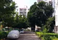 杏花苑小区图片3