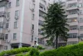 康乐花园小区图片6