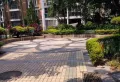 鸣翠谷小区图片7